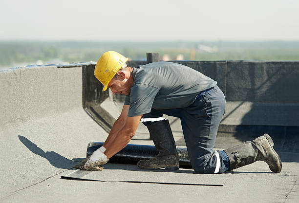 Best Commercial Insulation in Pocahontas, IA